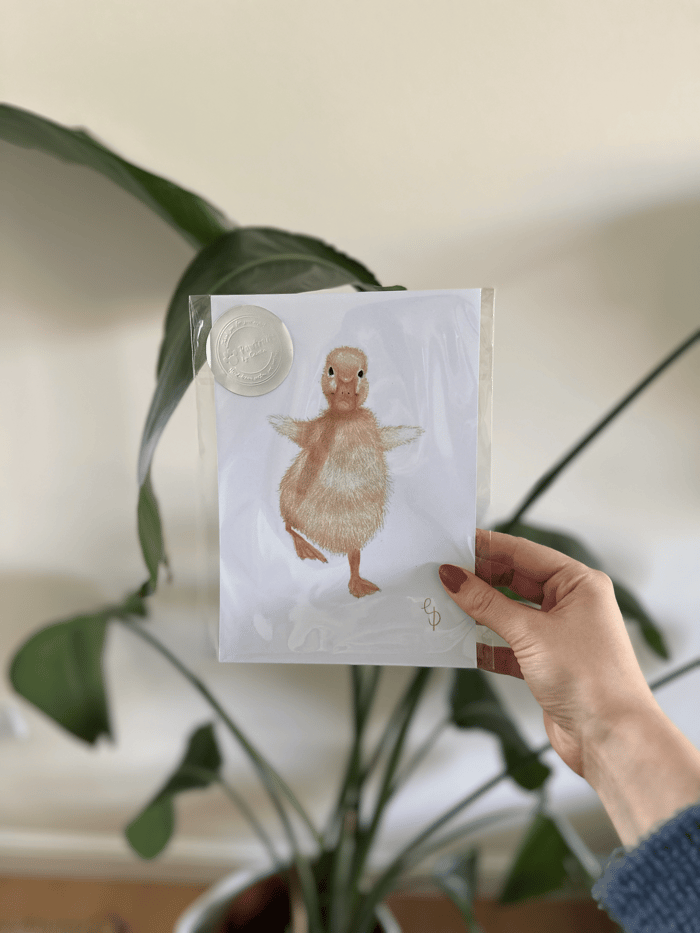 Baby Chick Print image