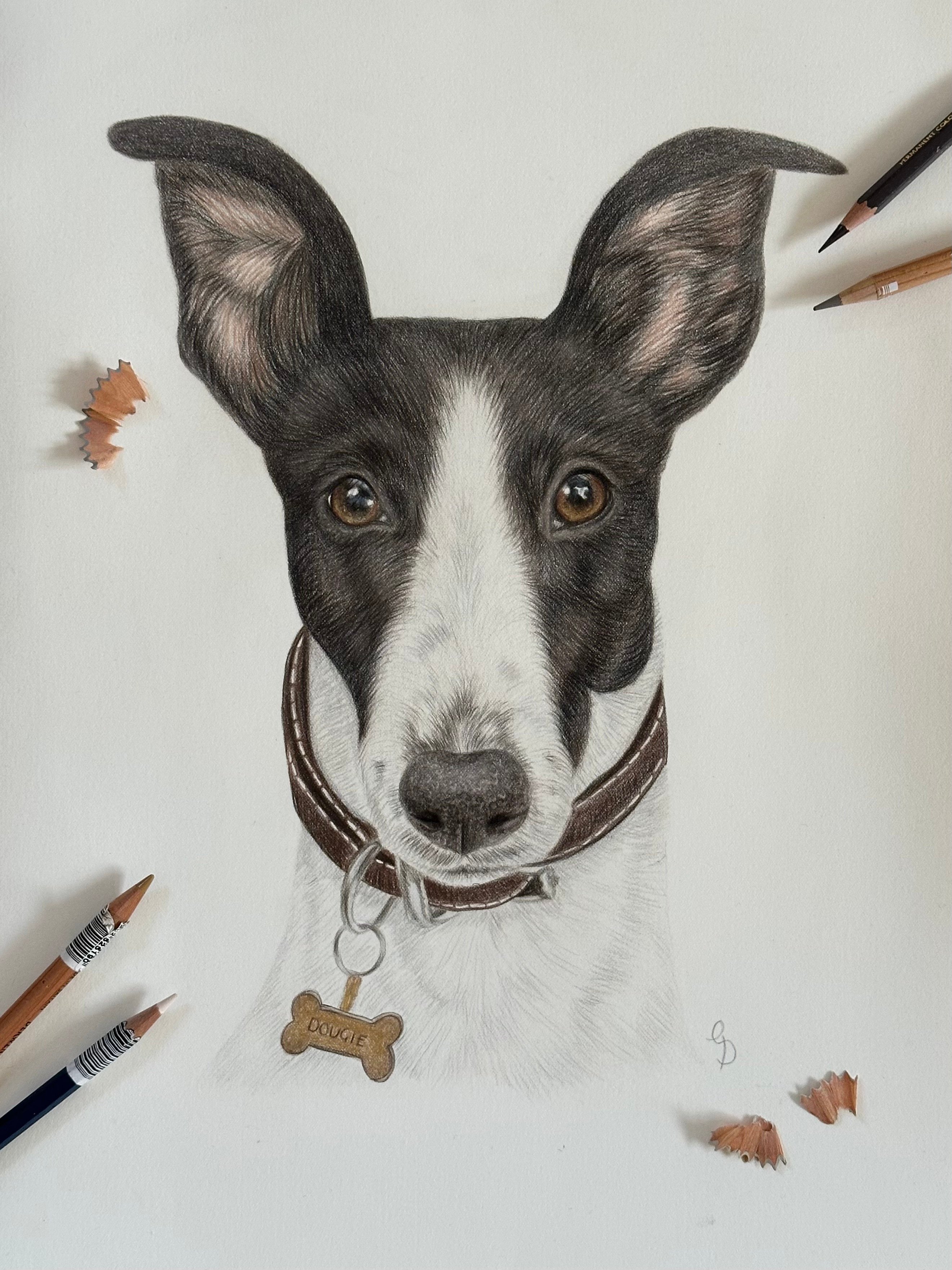 Dougie
